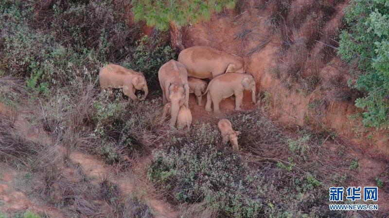  小因扎吉变阵激活国米进攻群  